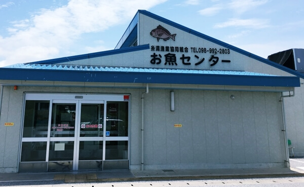 糸満漁業協同組合「お魚センター」