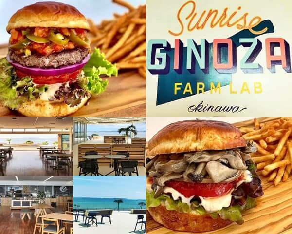 Ginoza Farm Lab（ギノザ ファーム ラボ）