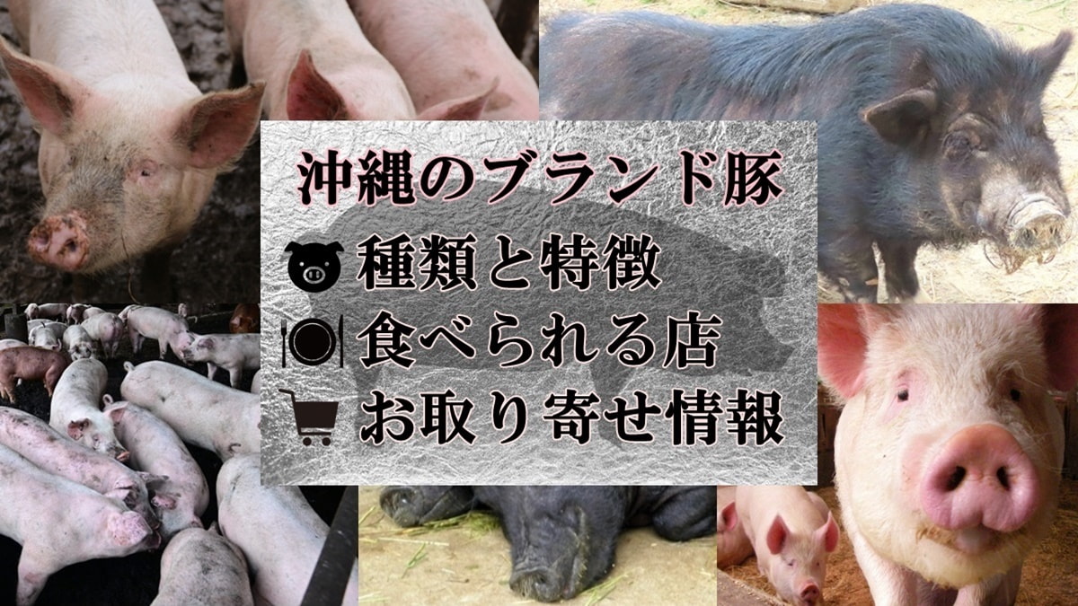 沖縄のブランド豚 種類 特徴